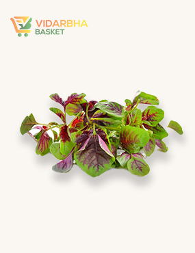 aliquam quat voluptatem