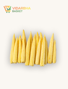 aliquam quat voluptatem