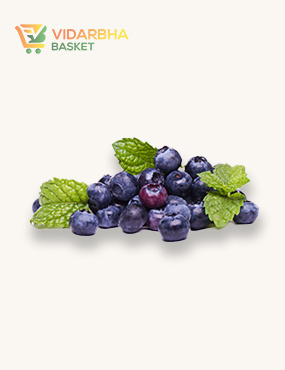 aliquam quat voluptatem