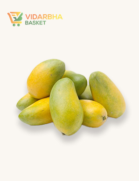 aliquam quat voluptatem