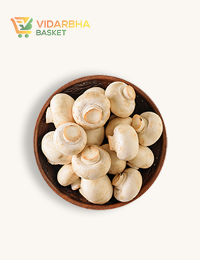 perspiciatis unde omnis