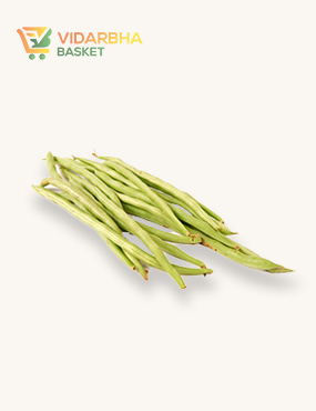 aliquam quat voluptatem