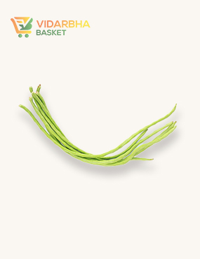 perspiciatis unde omnis