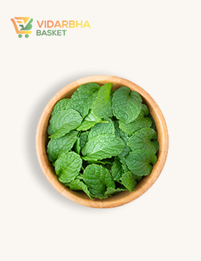 aliquam quat voluptatem