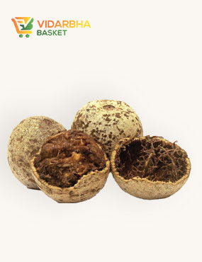 aliquam quat voluptatem